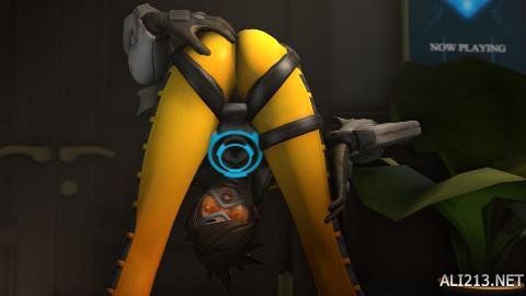 尽管韦斯利 尽管韦斯利